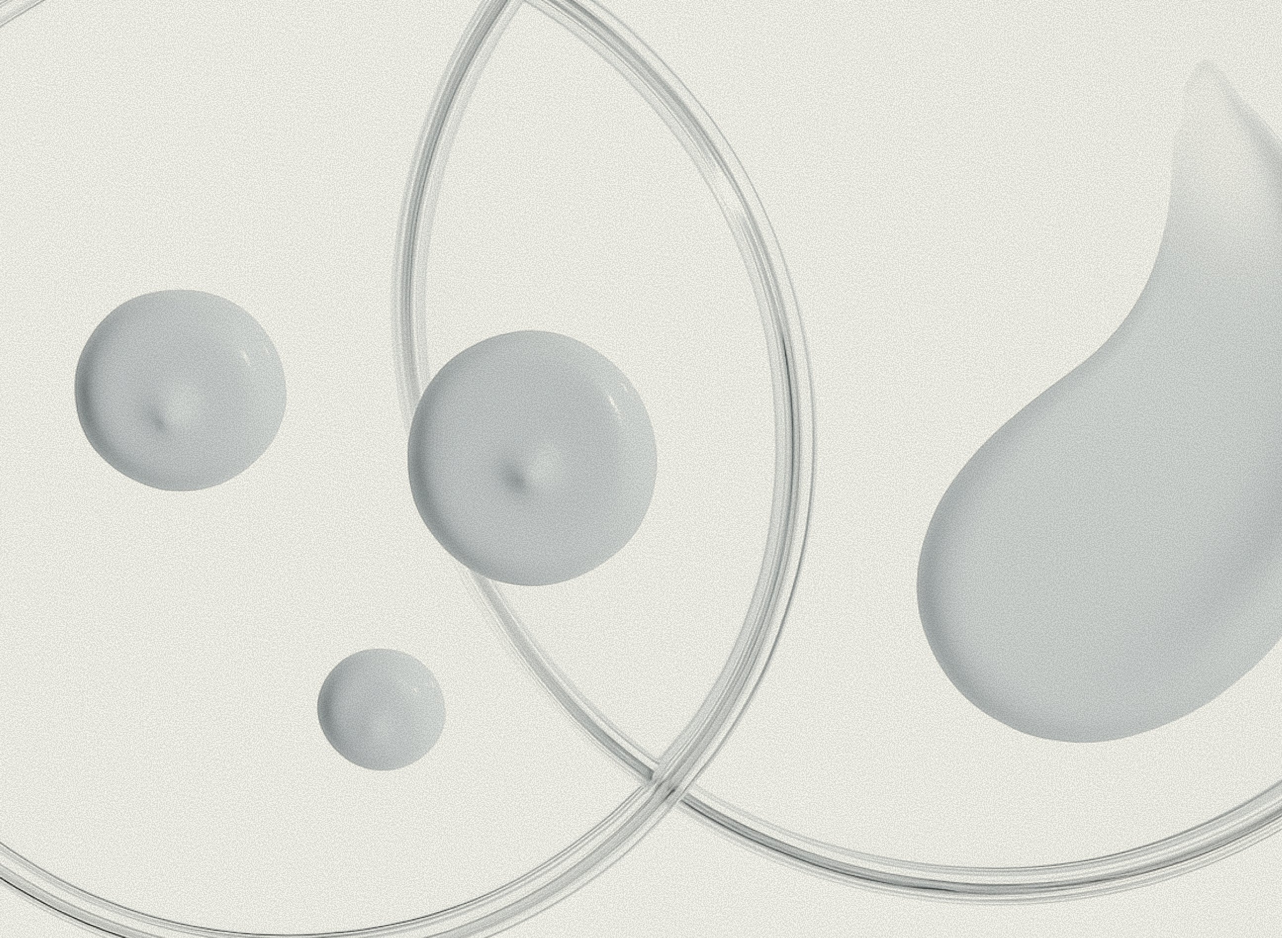 The Antioxidant Dialogue